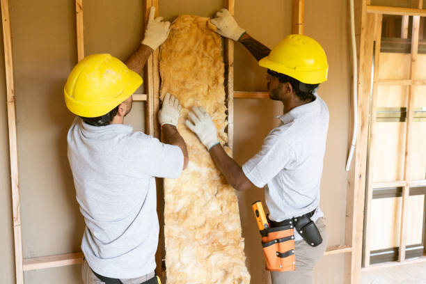 Best Crawl Space Insulation  in Minnetonka, MN